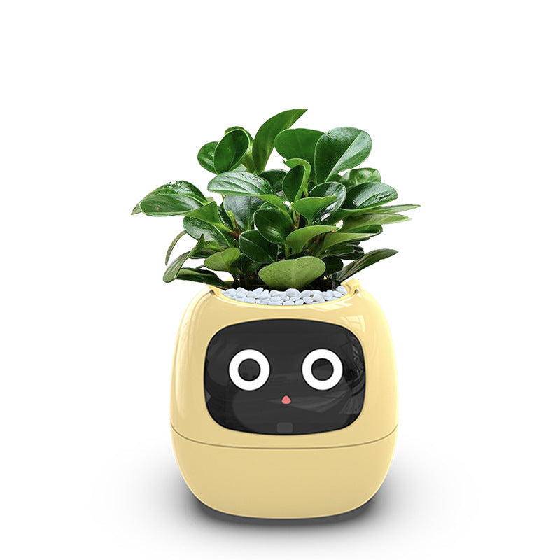 Jardinière intelligente à arrosage automatique avec 7 capteurs