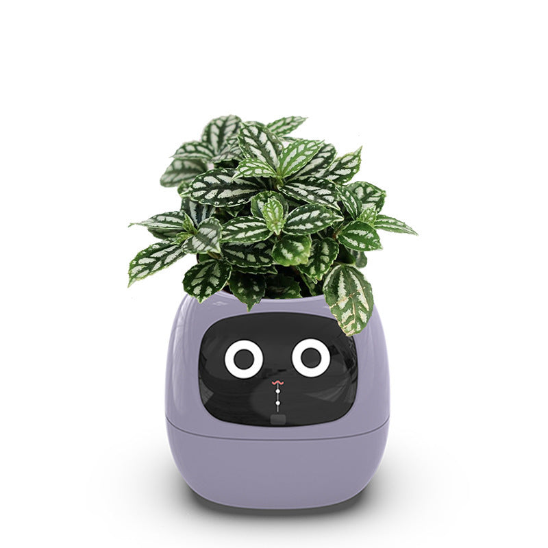 Jardinière intelligente à arrosage automatique avec 7 capteurs