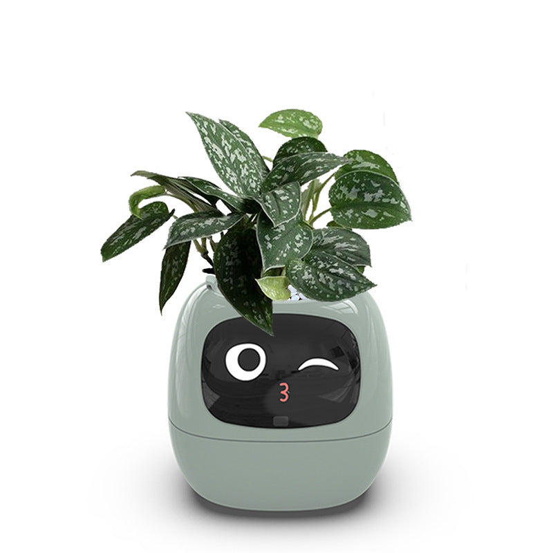 Jardinière intelligente à arrosage automatique avec 7 capteurs