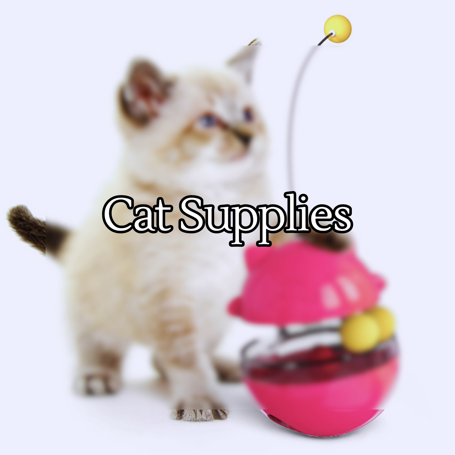 Cat Supplies