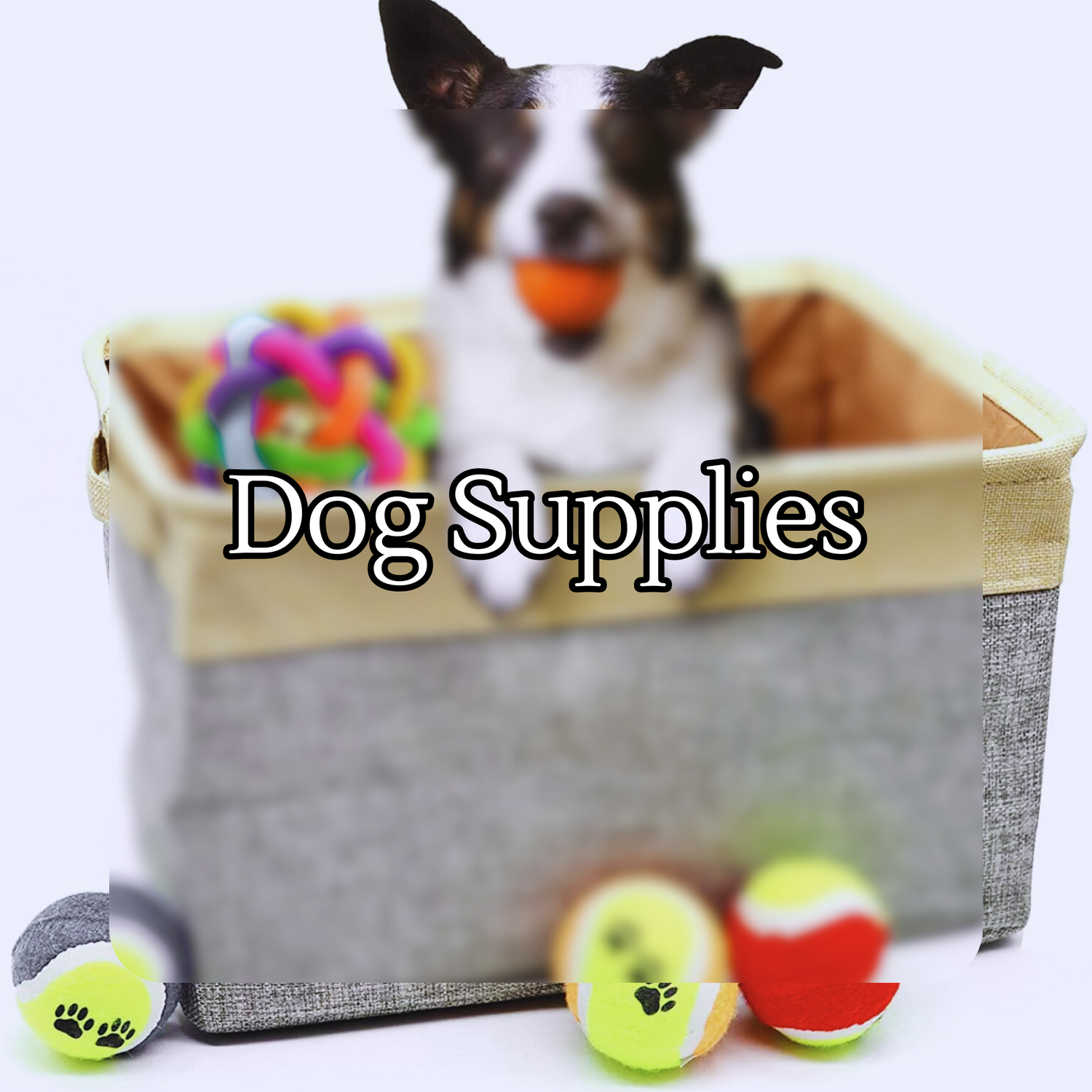 Dog Supplies