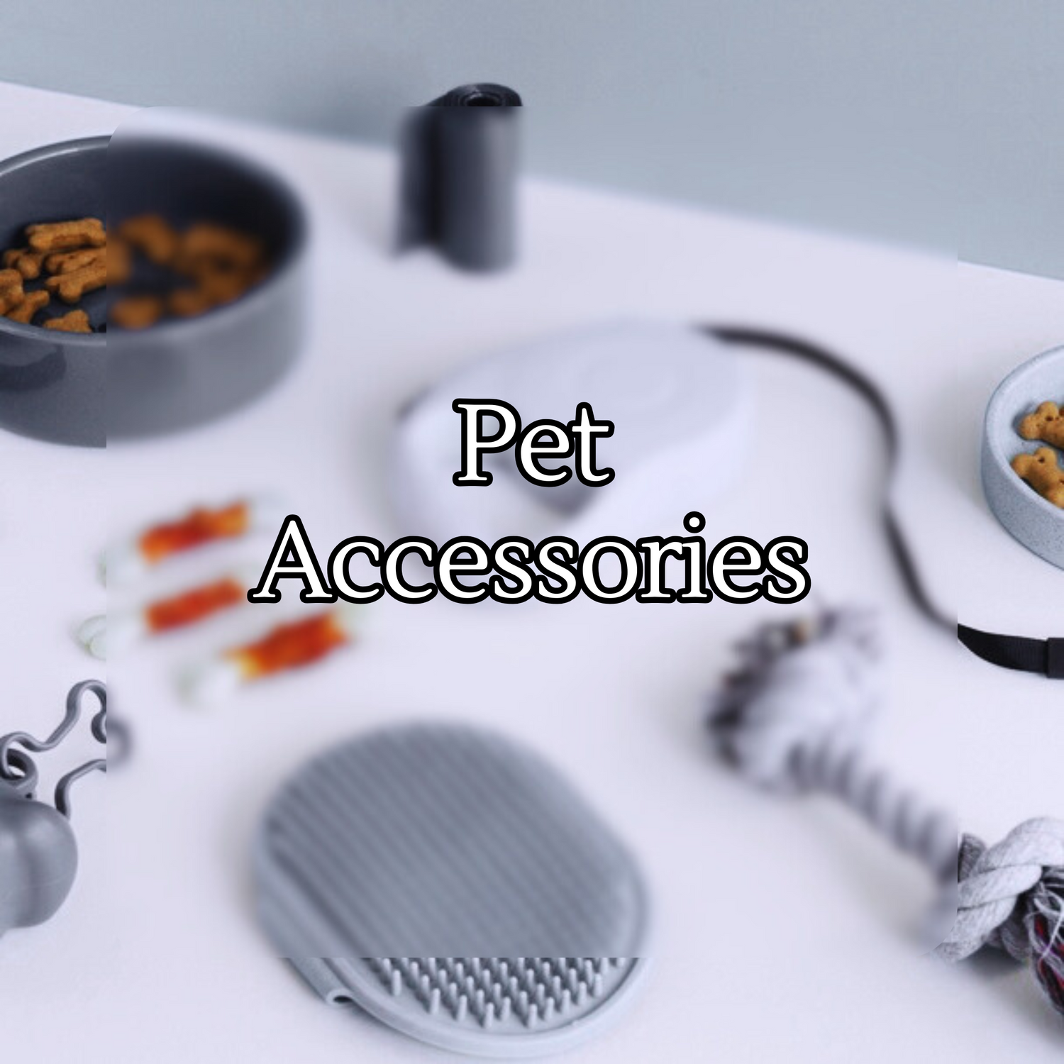 Pet Accessories
