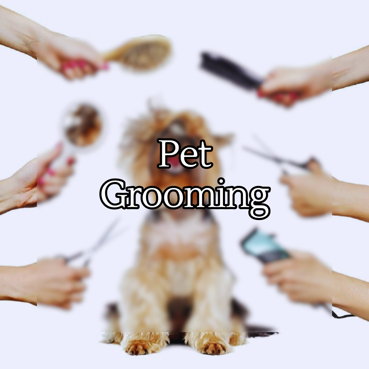 Pet Grooming