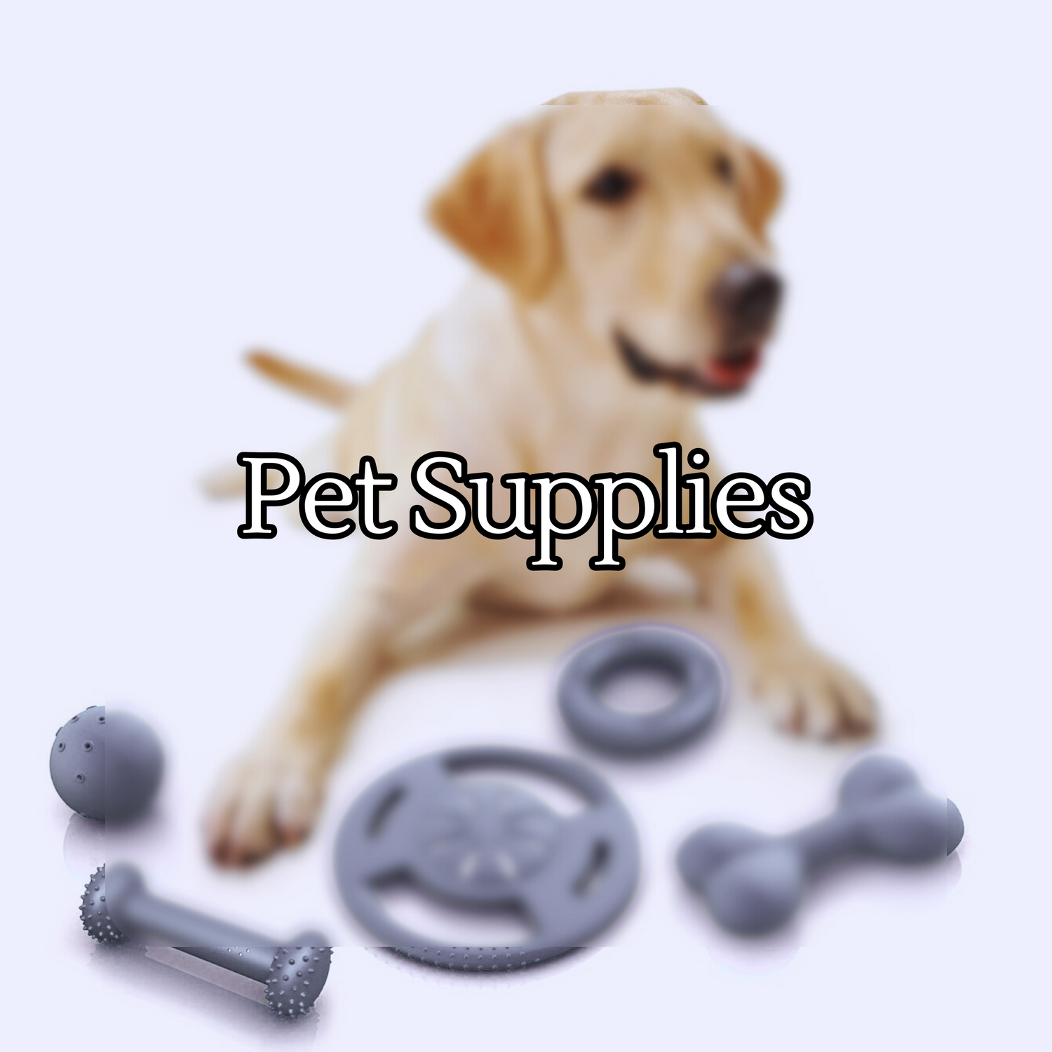 Pet Supplies