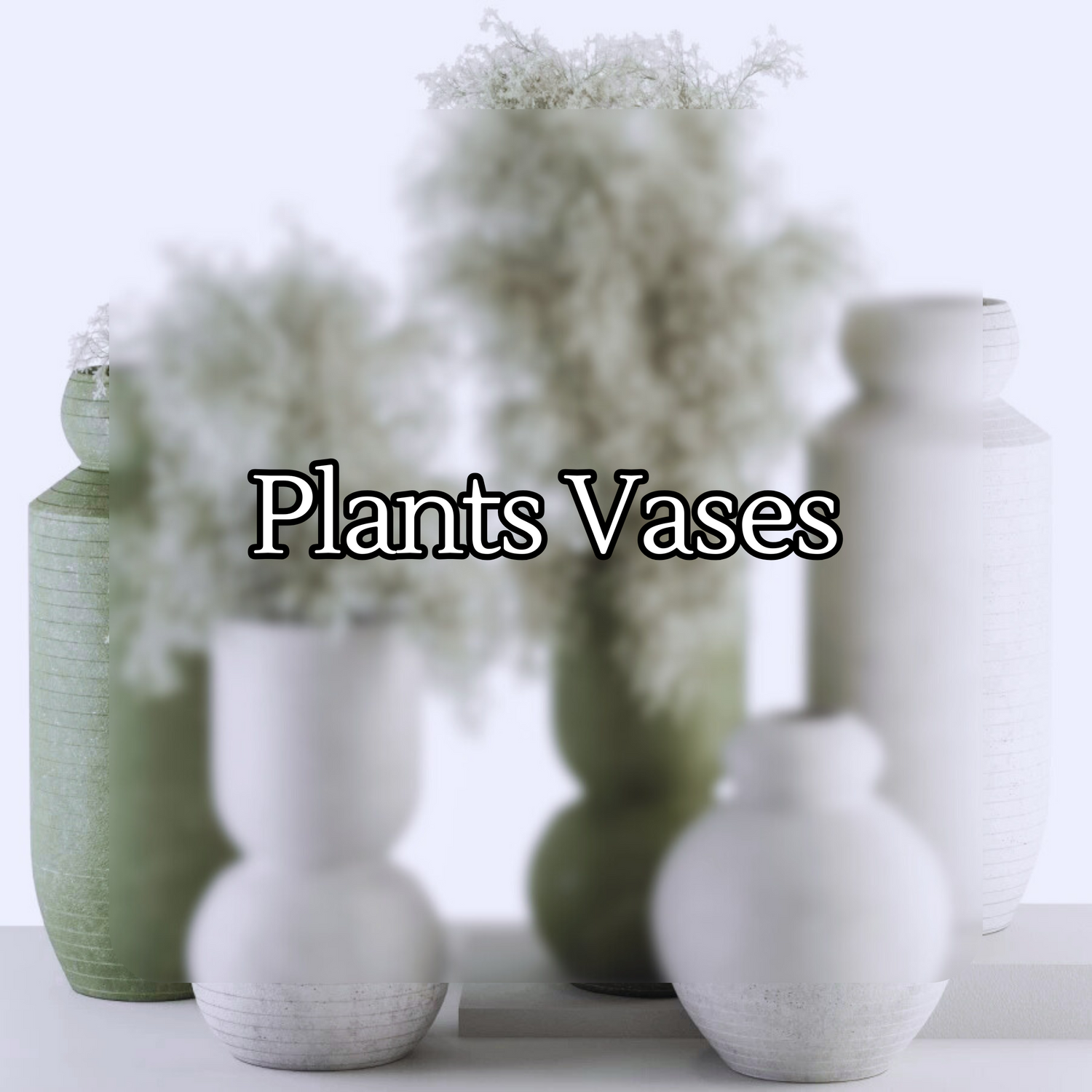Plants & Vases