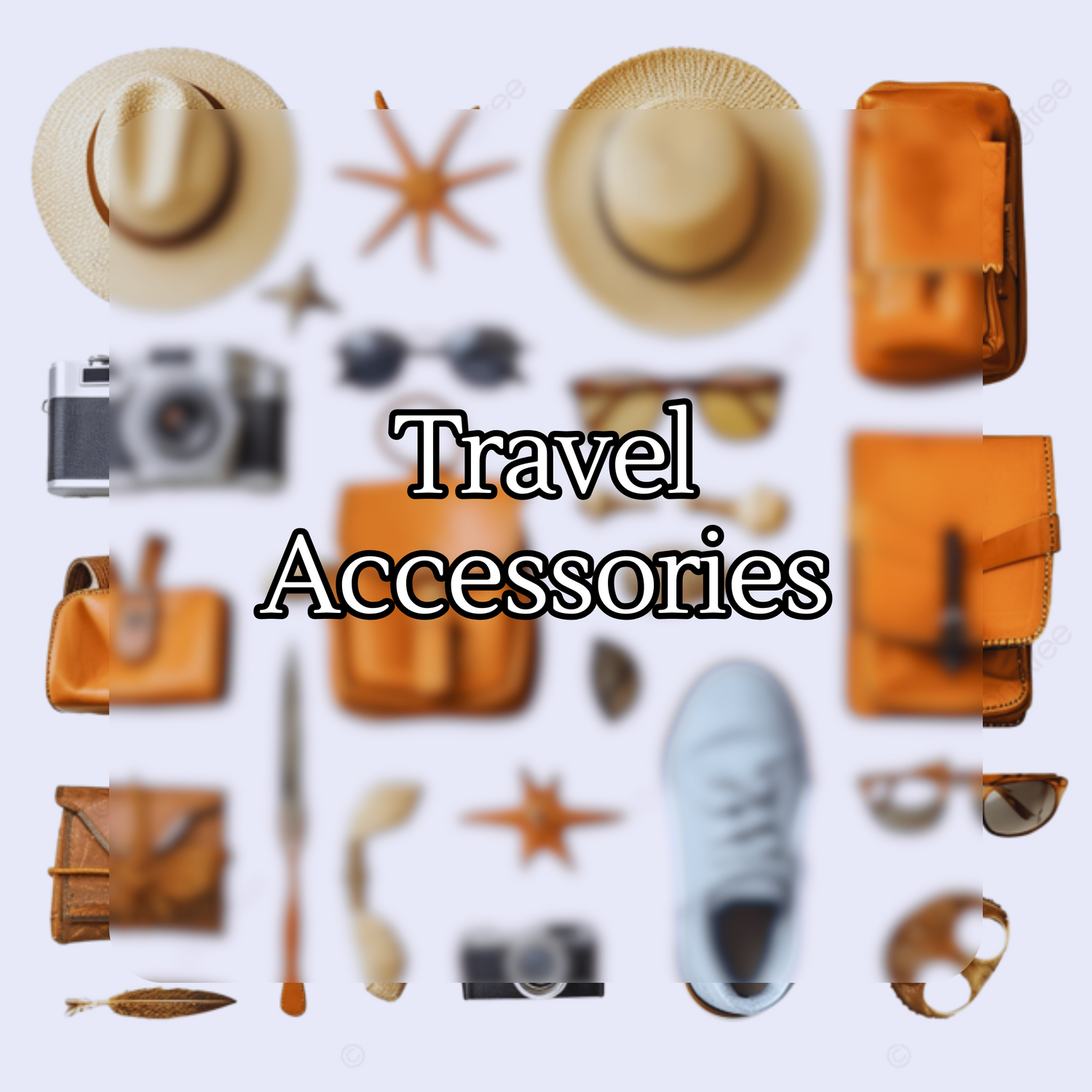 Travel Accessories