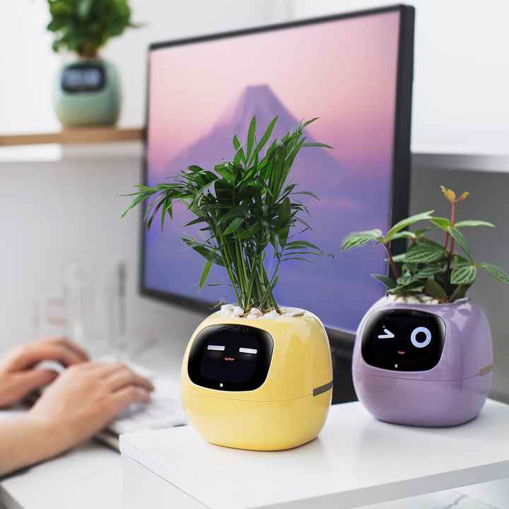 Smart AI Self-Watering Planter with 7 Sensors