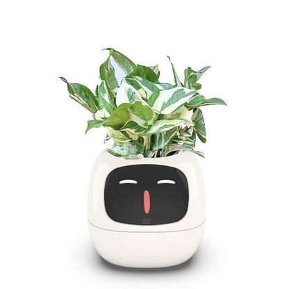 Jardinière intelligente à arrosage automatique avec 7 capteurs