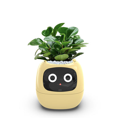 Jardinière intelligente à arrosage automatique avec 7 capteurs